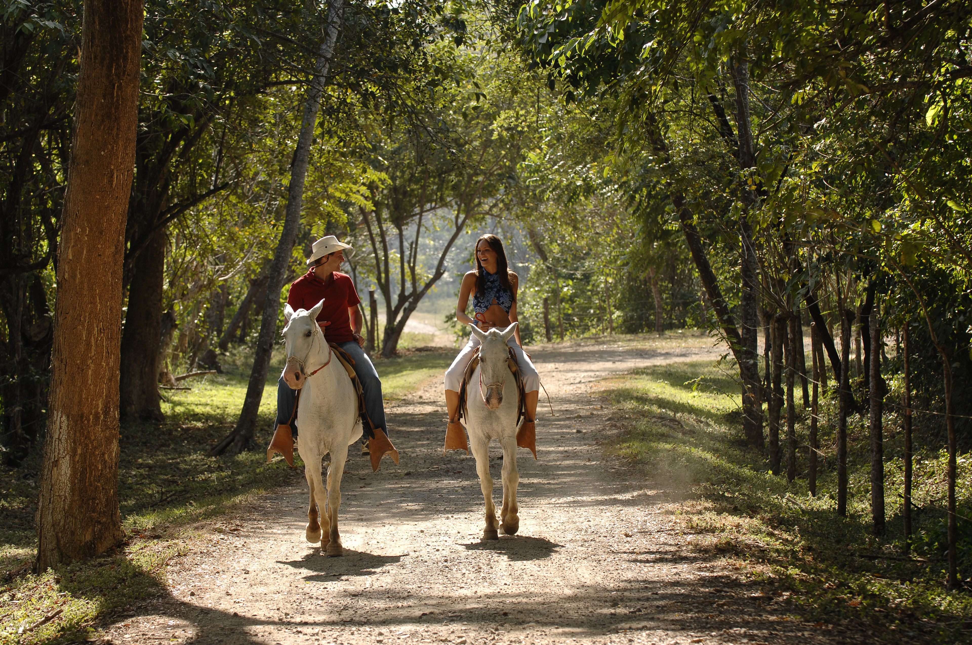Horse Riding