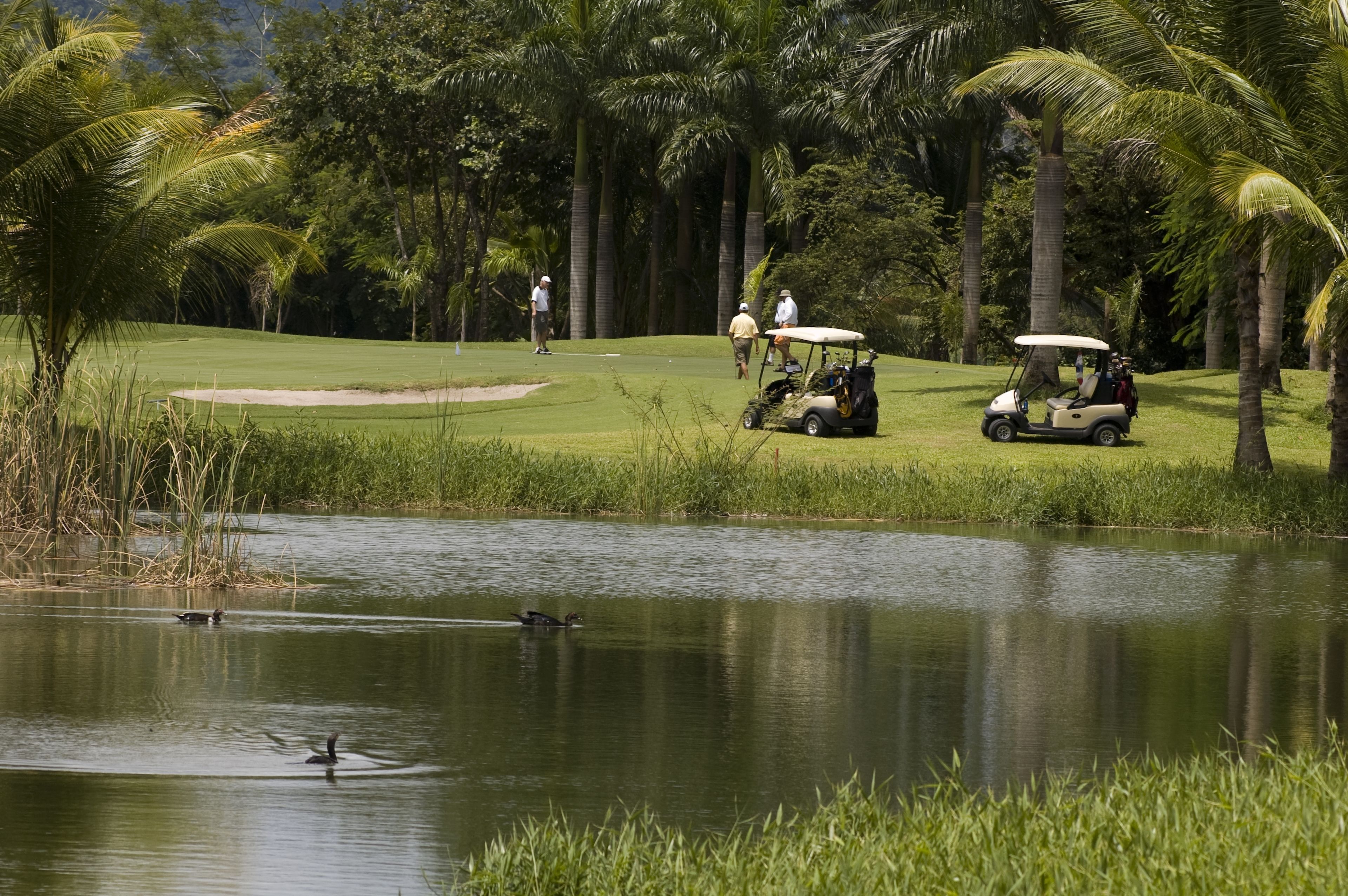 Golf