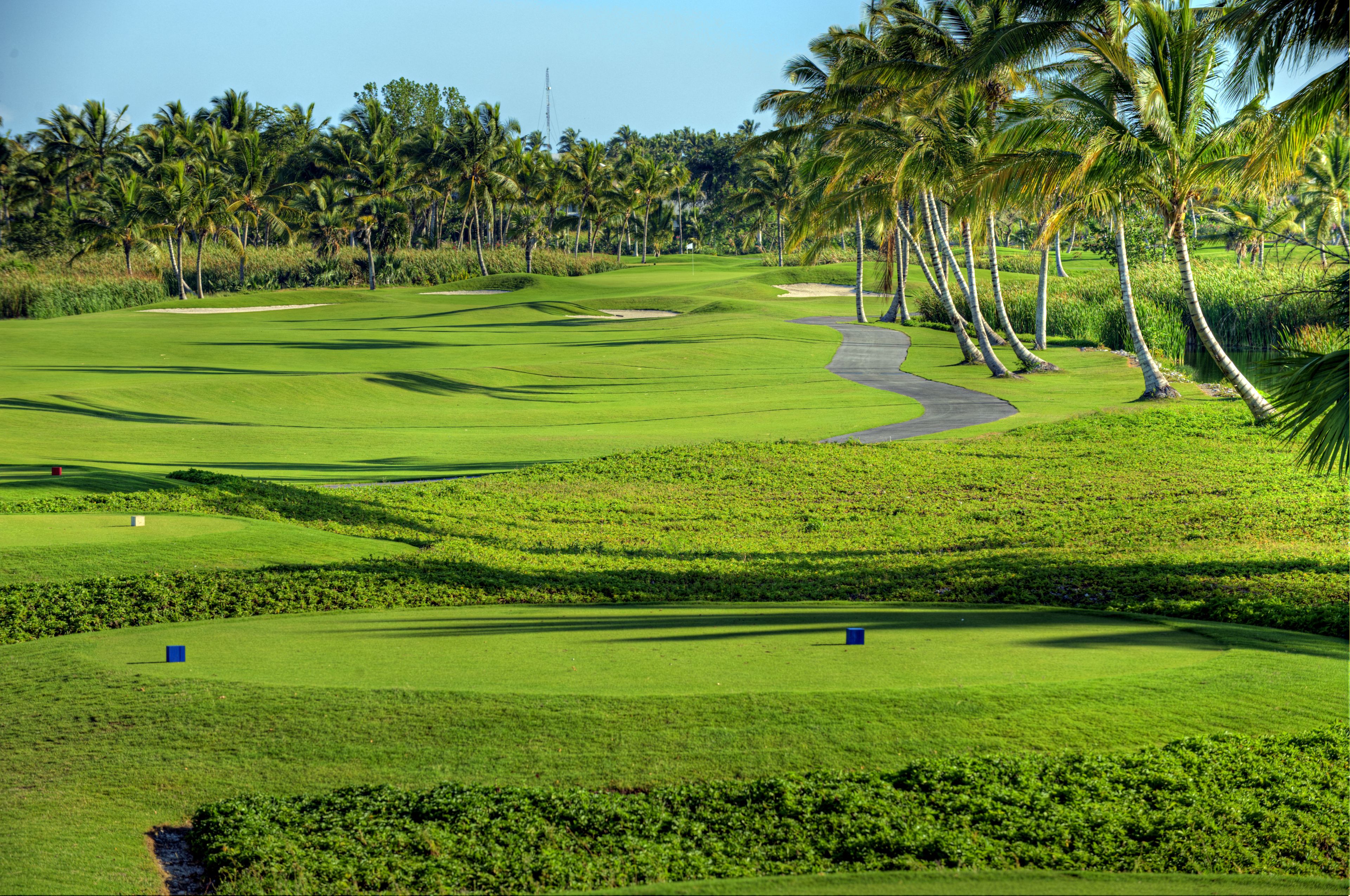 Occidental Punta Cana Resort All-Inclusive Resort
