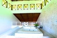 Jetted Tub