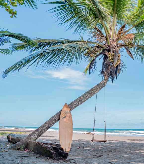 Hotel Serendipity tortuguero